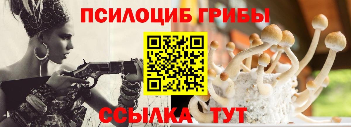 Галлюциногенные грибы Psilocybine cubensis Можга